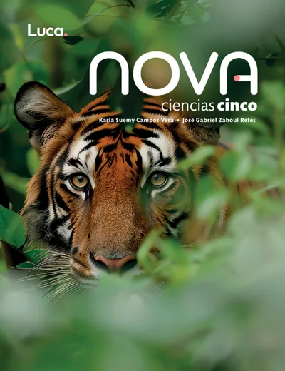 Portada de Ciencias 5 — Ciencias · Primaria