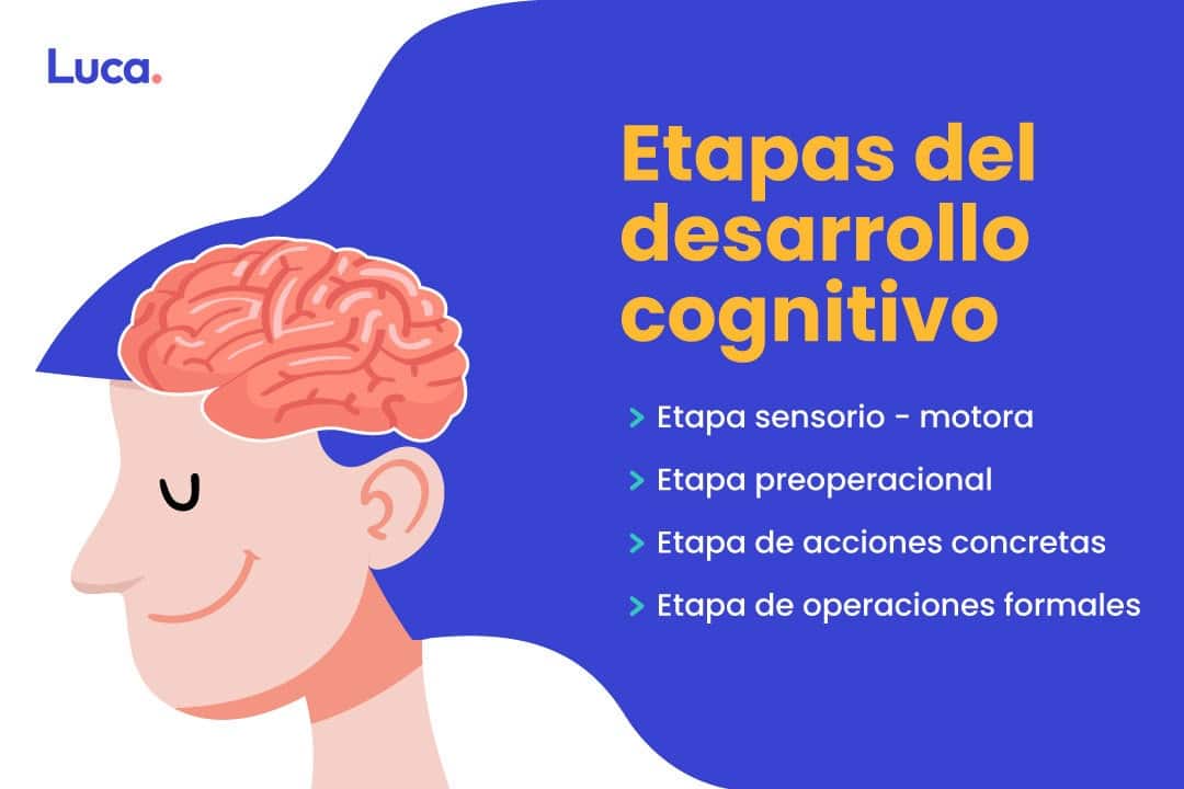 desarrollo cognitivo