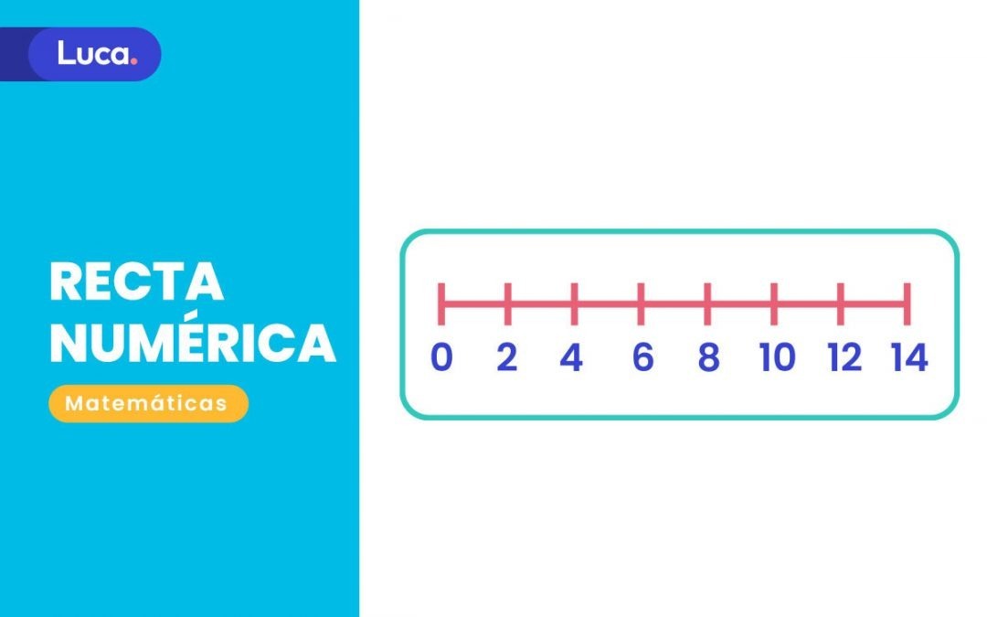 ¿Qué es la recta numérica y cómo se representa?