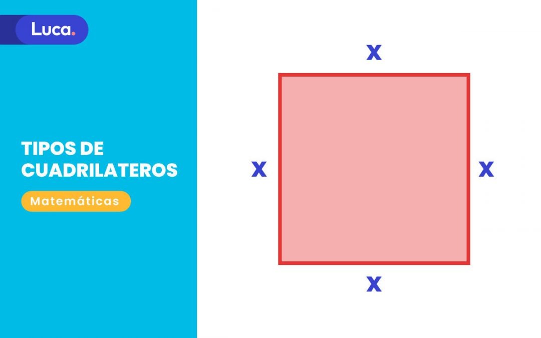 Tipos de cuadriláteros y sus características