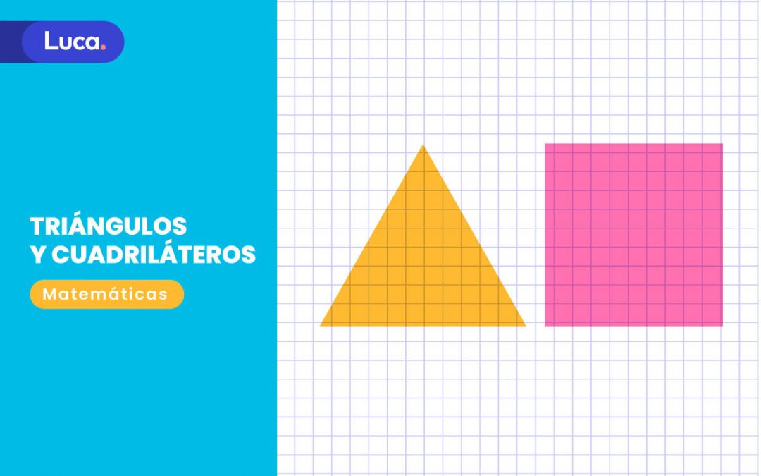 Triángulos y cuadriláteros: Las bases de la geometría 