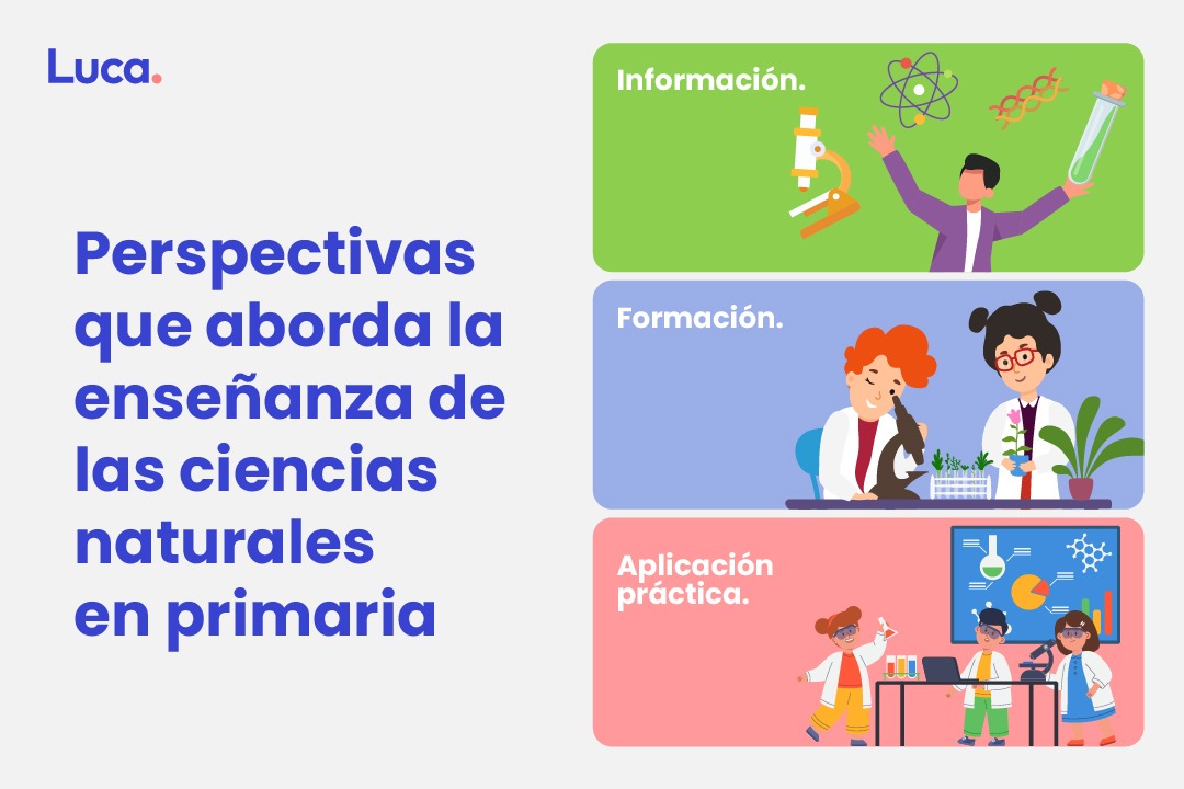 por que es importante enseñar ciencias naturales en primaria