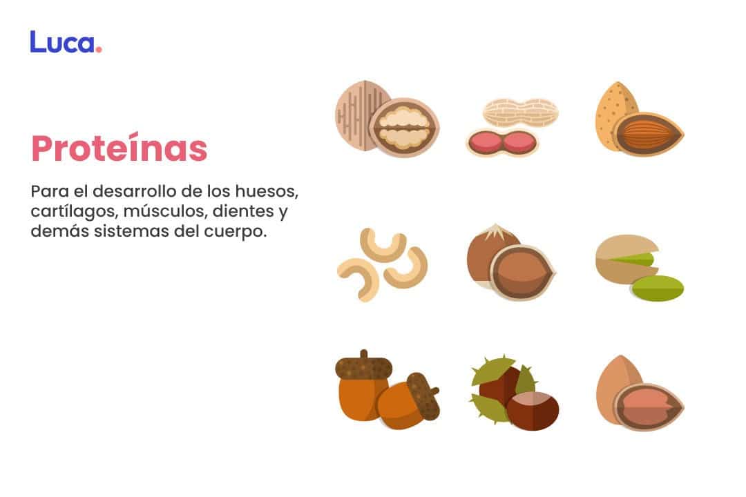 alimentos nutritivos para niños