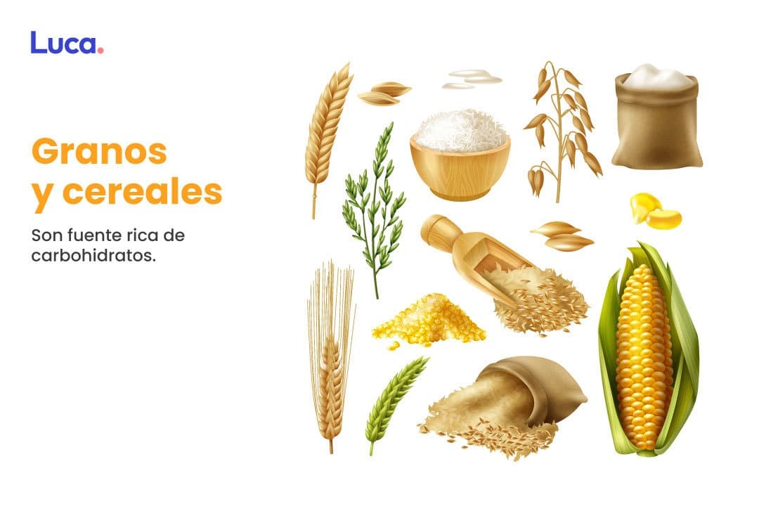 alimentos nutritivos para niños