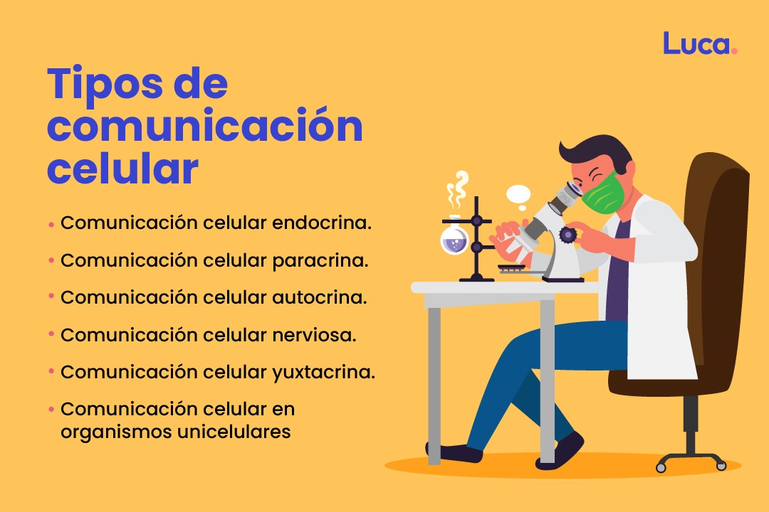 comunicación celular