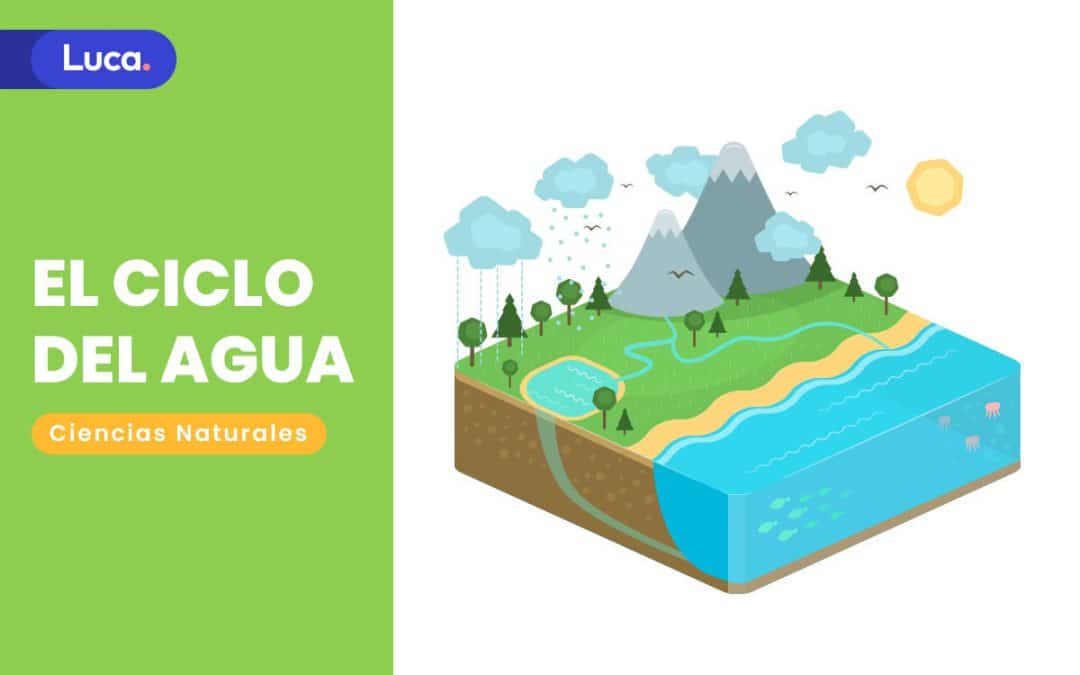 El ciclo del agua, proceso fundamental para la vida