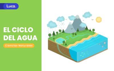 El ciclo del agua, proceso fundamental para la vida