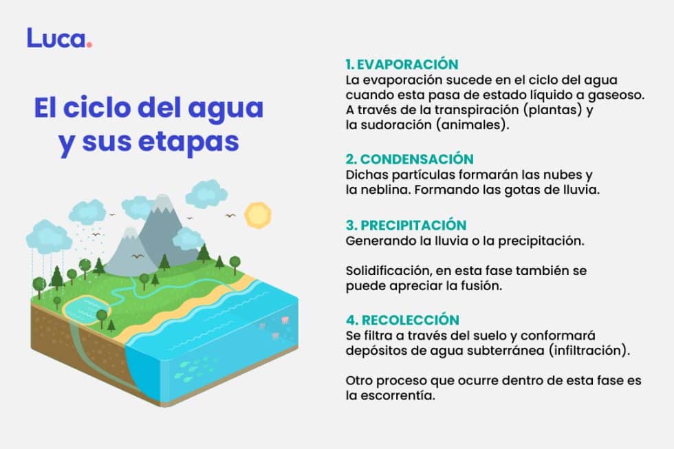 El Ciclo Del Agua Proceso Fundamental Para La Vida 0531