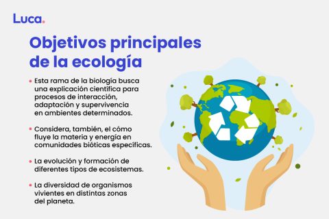 Mapa De La Ecologia Espero Que Te Ayude Individuo Es Cada Ser Vivo