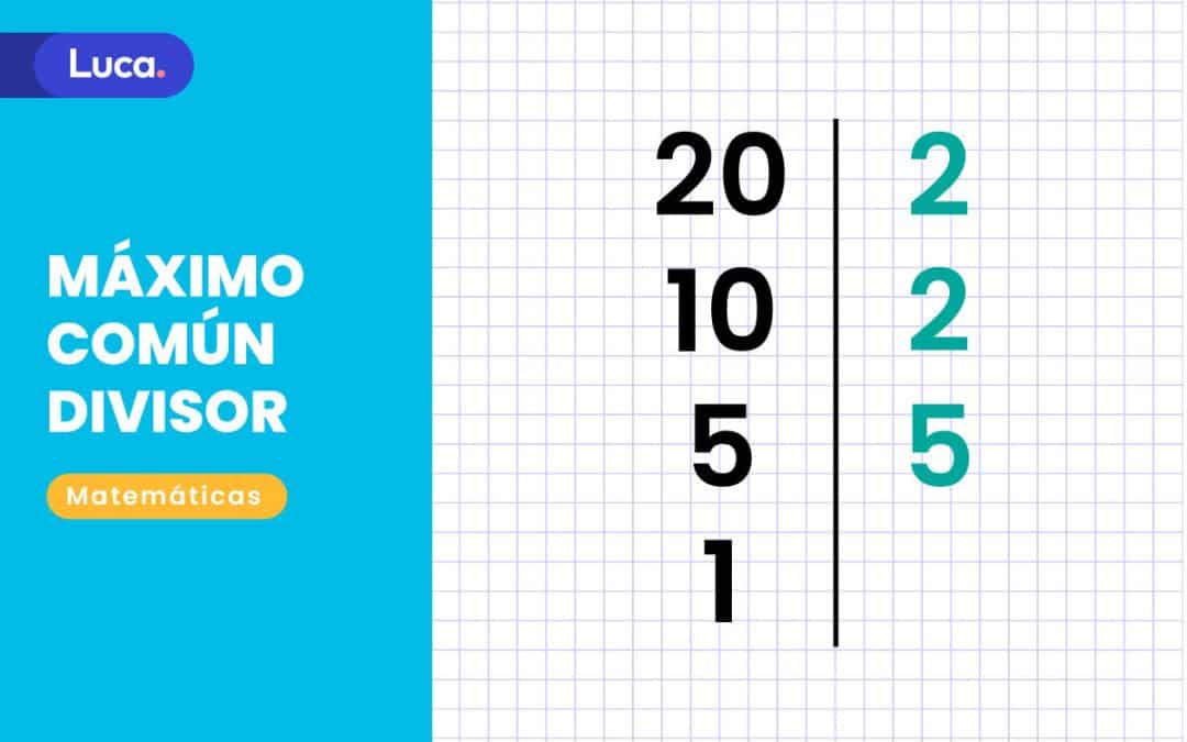 Máximo común divisor: cómo aprender a calcularlo desde primaria