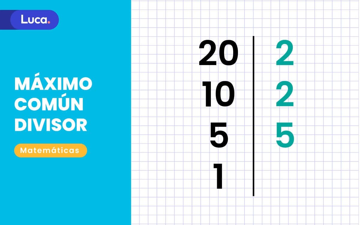 Calcular El Máximo Común Divisor En Educación Primaria Y Educación