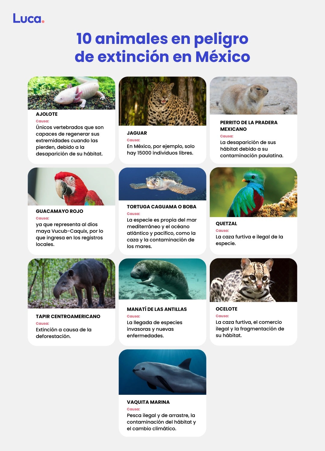 animales en peligro de extinción