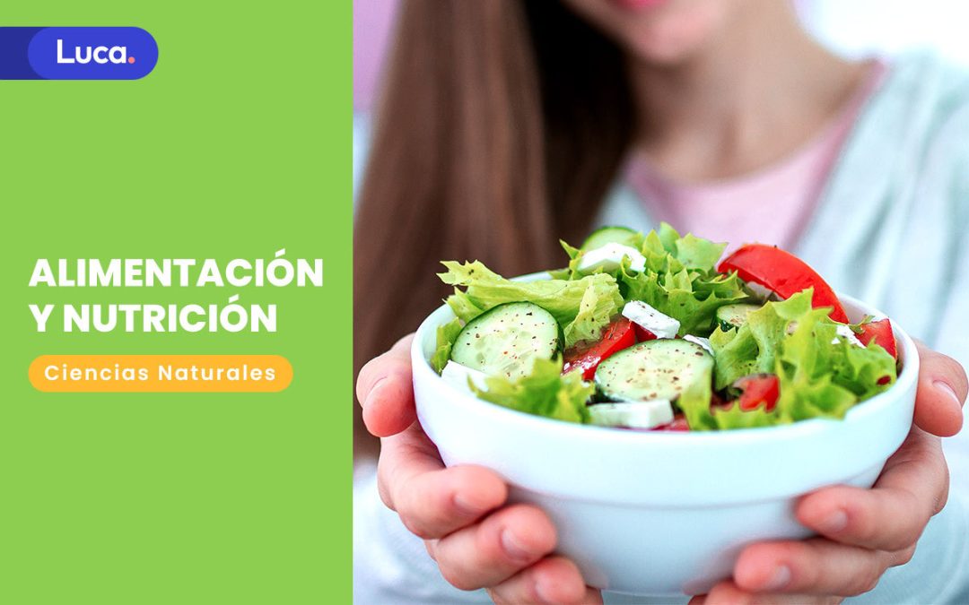 Alimentación y nutrición: Claves para la vida saludable