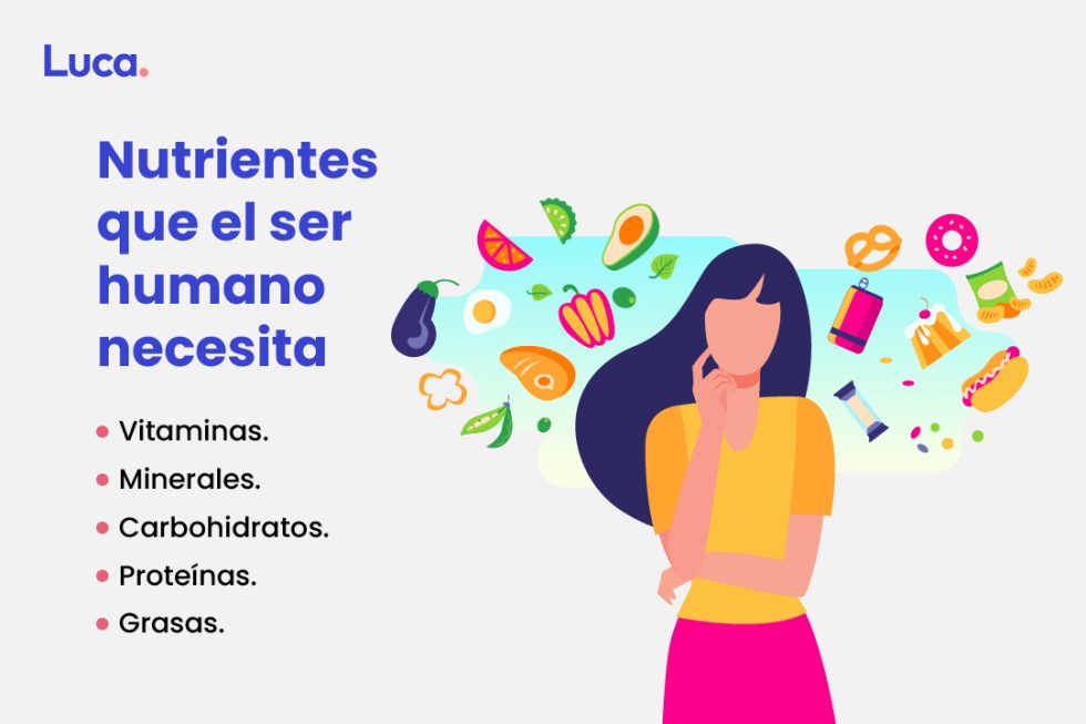 Alimentación Y Nutrición Claves Para La Vida Saludable 2184