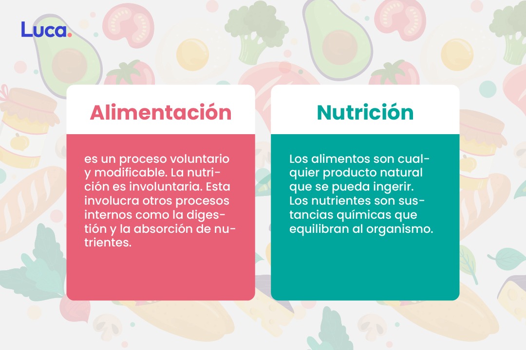 alimentación y nutrición