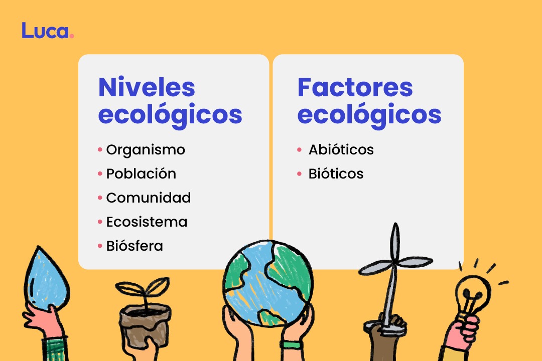 la ecología