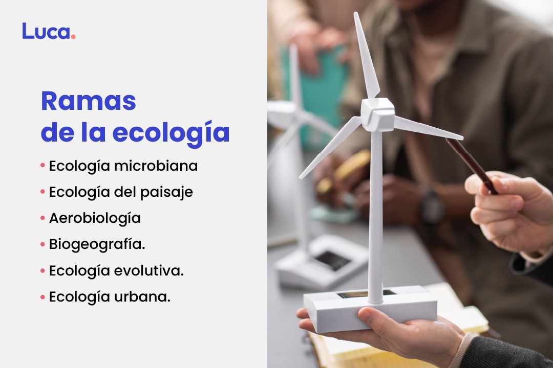 ecología ciencias naturales