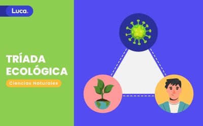 Triada ecológica y el desarrollo de enfermedades