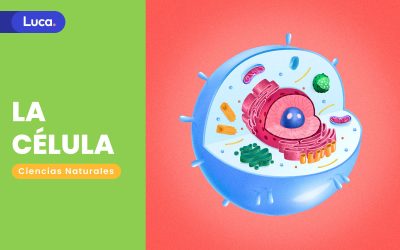 La célula: La estructura fundamental para los seres vivos